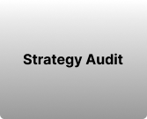Strategy Audit